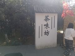 -天目湖山水园