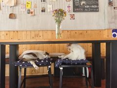 -251#coffee roasters(沿河东路店)