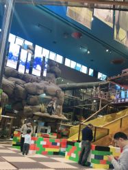 -卡通尼·Safari非洲探索乐园·生日会(金桥国际商业广场店)