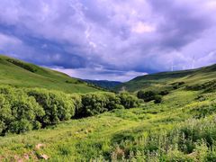 -塞罕坝国家级自然保护区