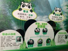 -灵玲国际马戏城