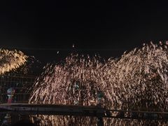 -广西壮族自治区药用植物园
