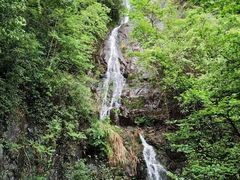 -天明山温泉大酒店
