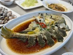 -华盛丰温州大排档(东三环南路店)