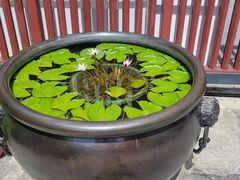 -龙华素斋(龙华路店)