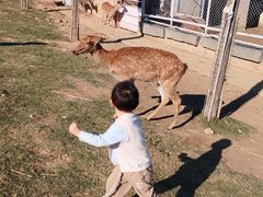 -安徽禾泉小镇