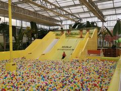 -南宫五洲植物乐园