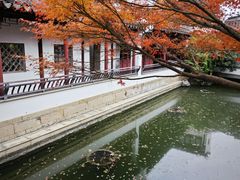-黎里古镇