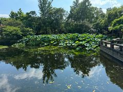 -秋霞圃