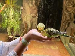 -酷嗒动物文化乐园(cutezoo西溪乐天城店)