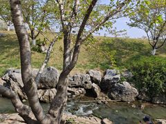 -羊山湖公园