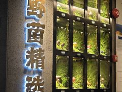 -野·大山里野生菌石锅土鸡(益田假日店)