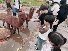 -栾川竹海野生动物园