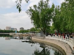 -莲花池公园