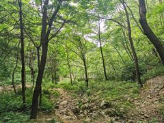 -秦岭风景区
