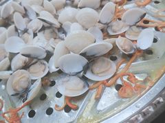 -凯盈阁·顺德私房菜·桑拿鸡