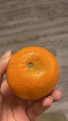 -百悦健康月子中心(祈悦店)