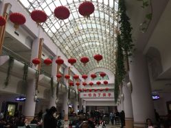 -上海交通大学医学院附属上海儿童医学中心(陆家嘴总院区)