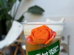 -大青树咖啡(大理古城店)
