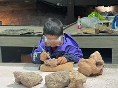 -世界恐龙谷景区