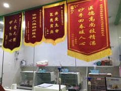 -瑞鹏宠物医院华南总院·夜诊·心脏科·骨科