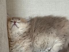 -美联众合动物医院·24h京西诊疗中心