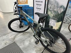 -GIANT捷安特自行车专卖店(金桥台儿庄路店)