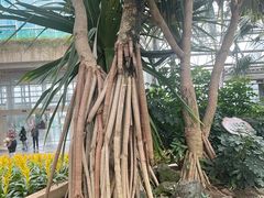 -南山植物园