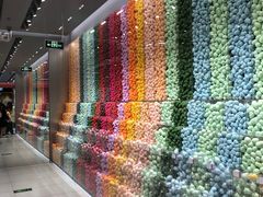 -天虹购物中心(石路店)