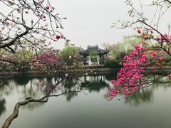 -无锡蠡湖国家湿地公园-蠡园