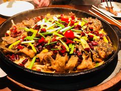 -老板恋上鱼(高新万达店)