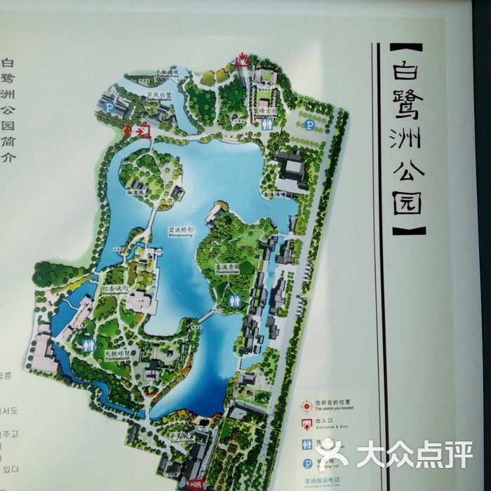 南京白鹭洲公园介绍图片
