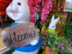 -苗小坛酸汤鱼(酒仙桥店)