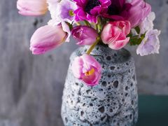 -芳满庭·江浙小馆(1912店)