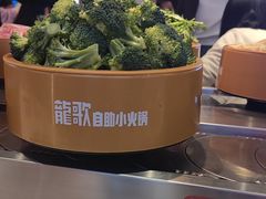 -龍歌自助小火锅(市北CBD万达店)