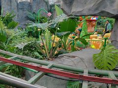 -南宫五洲植物乐园