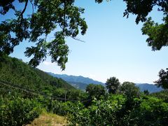 -山香农家宴