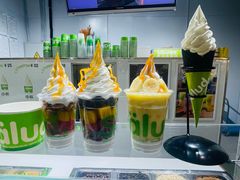 -Salud撒露欧洲冻酸奶(北苑上品店)
