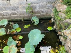 -上海醉白池公园