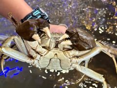 -火福·天湖阁大闸蟹博物馆主题餐厅(浅水湾店)