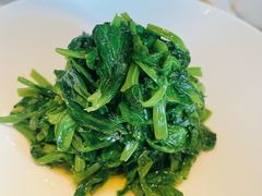 鸡油豌豆苗-粤界(望京金辉店)