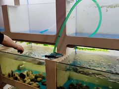 -质烤烤物·活烤海鲜(质烤总店)