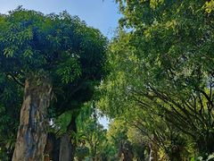 -云南勐巴娜西珍奇园