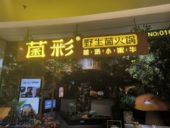 -菌彩云南野生菌火锅(呈贡七彩云南第壹城店)