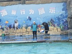 -合肥野生动物园