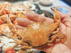 -乔哥铭洋海鲜自助(皇城恒隆广场店)