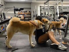 -YCHL Studios健身工作室(市二宫店)
