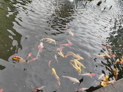 -绳金塔