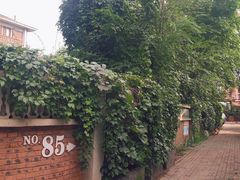 -天津五大道文化旅游区