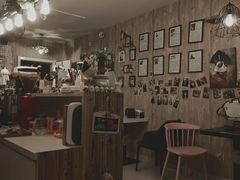 -名猫咖啡馆·撸猫·拼豆